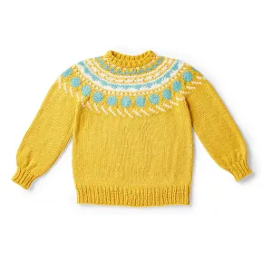 Bernat Circle Around Knit Pullover