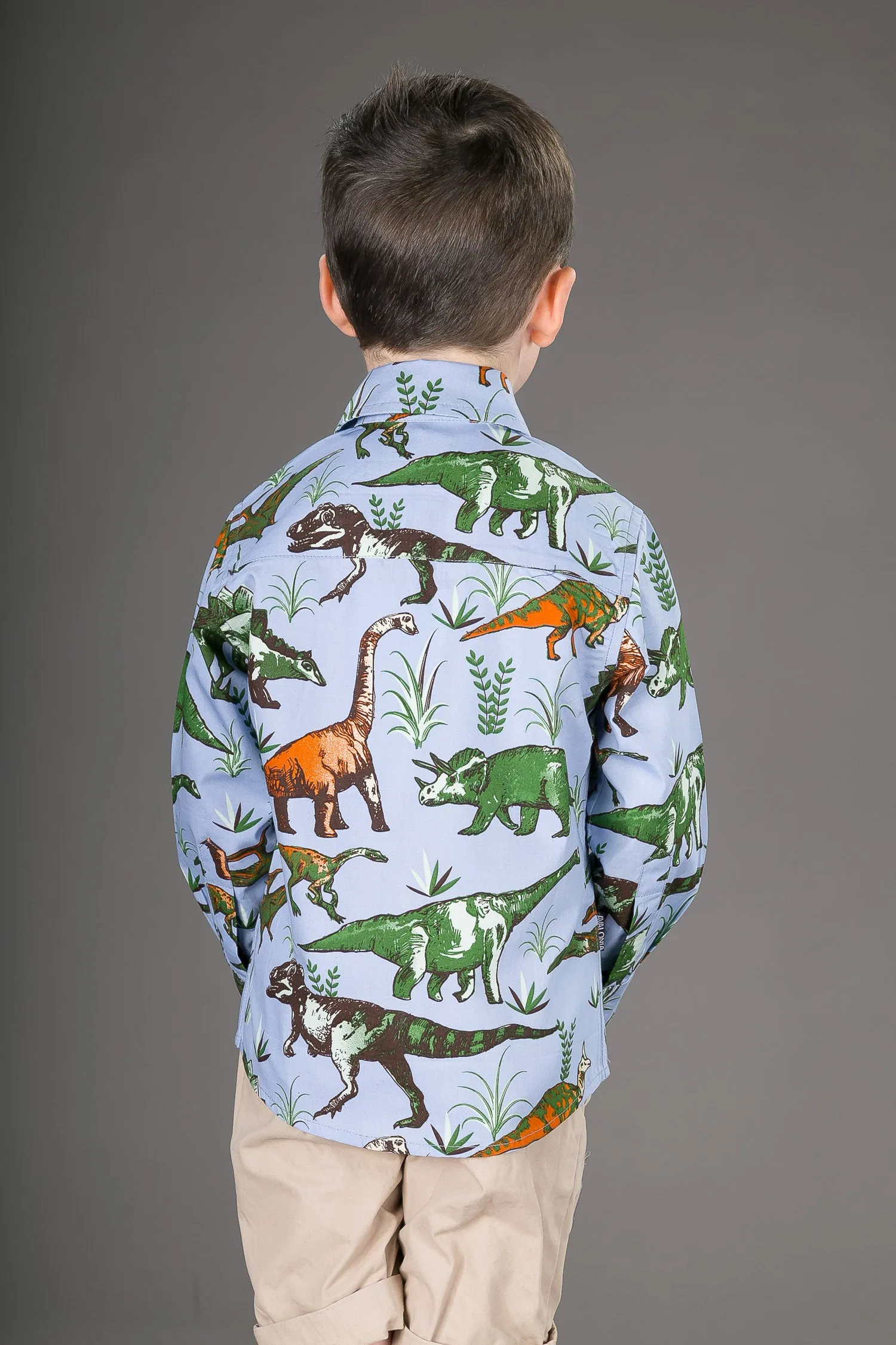 Boys Cotton Blue Dinosaurs Long Sleeve Shirt