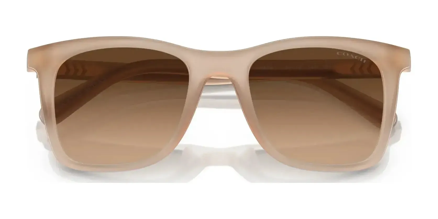 Coach CK463 HC8374F Sunglasses | Size 54