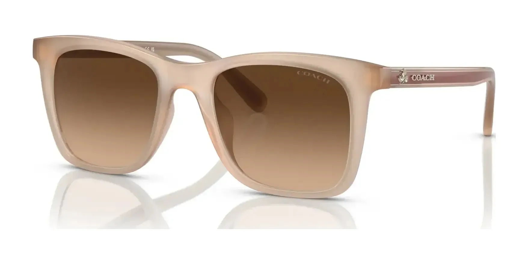 Coach CK463 HC8374F Sunglasses | Size 54