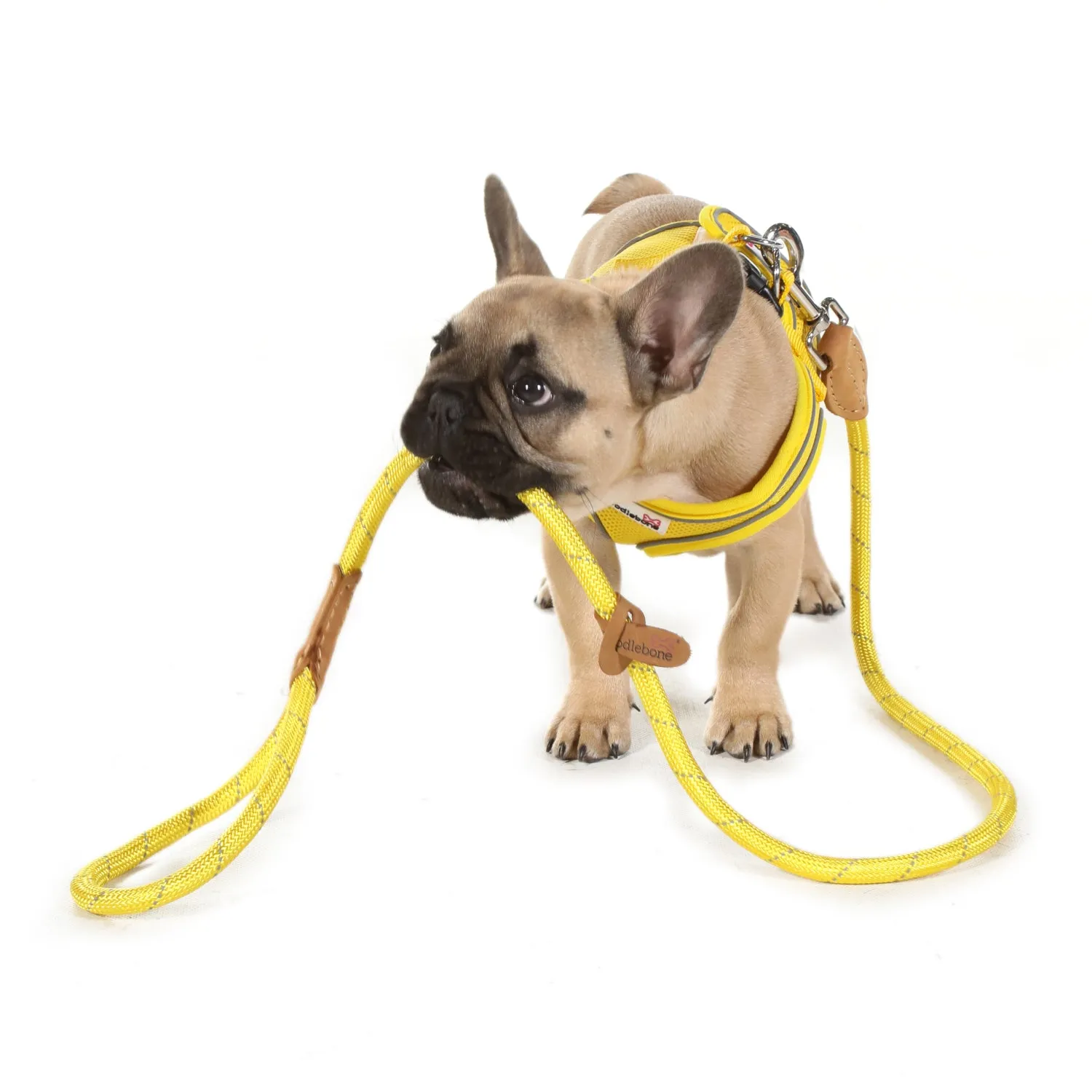 Doodlebone Originals Rope Lead 1.2m Apple