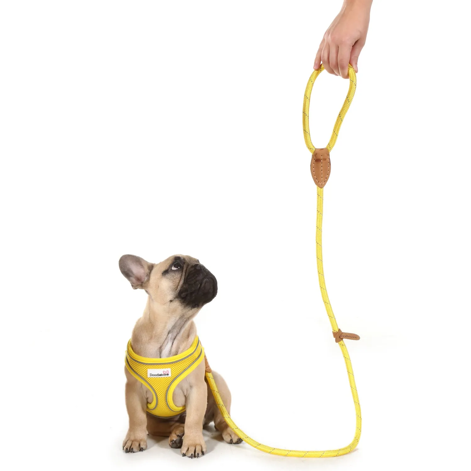 Doodlebone Originals Rope Lead 1.2m Apple