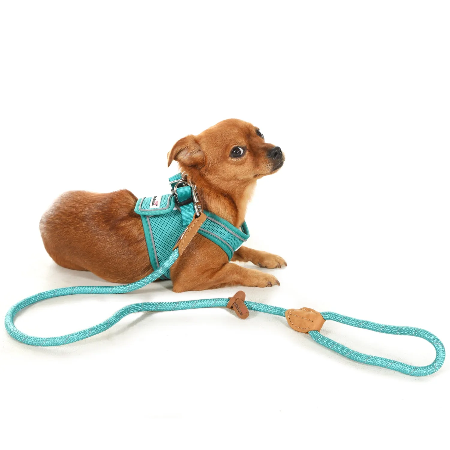 Doodlebone Originals Rope Lead 1.2m Apple