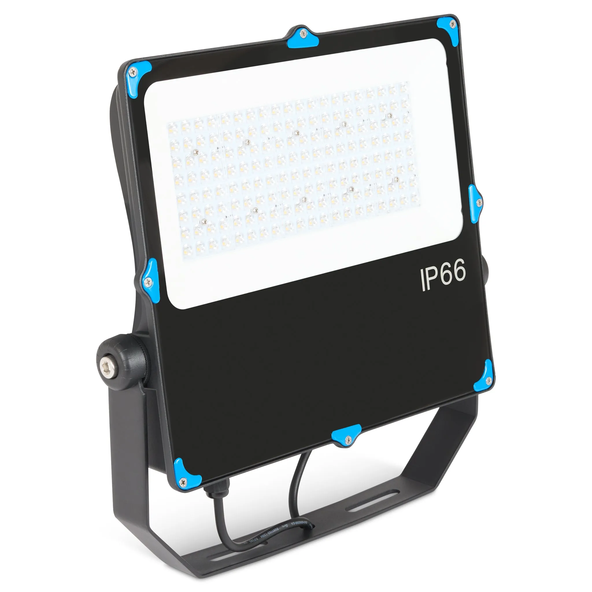 Hilclaire 100W LED Floodlight