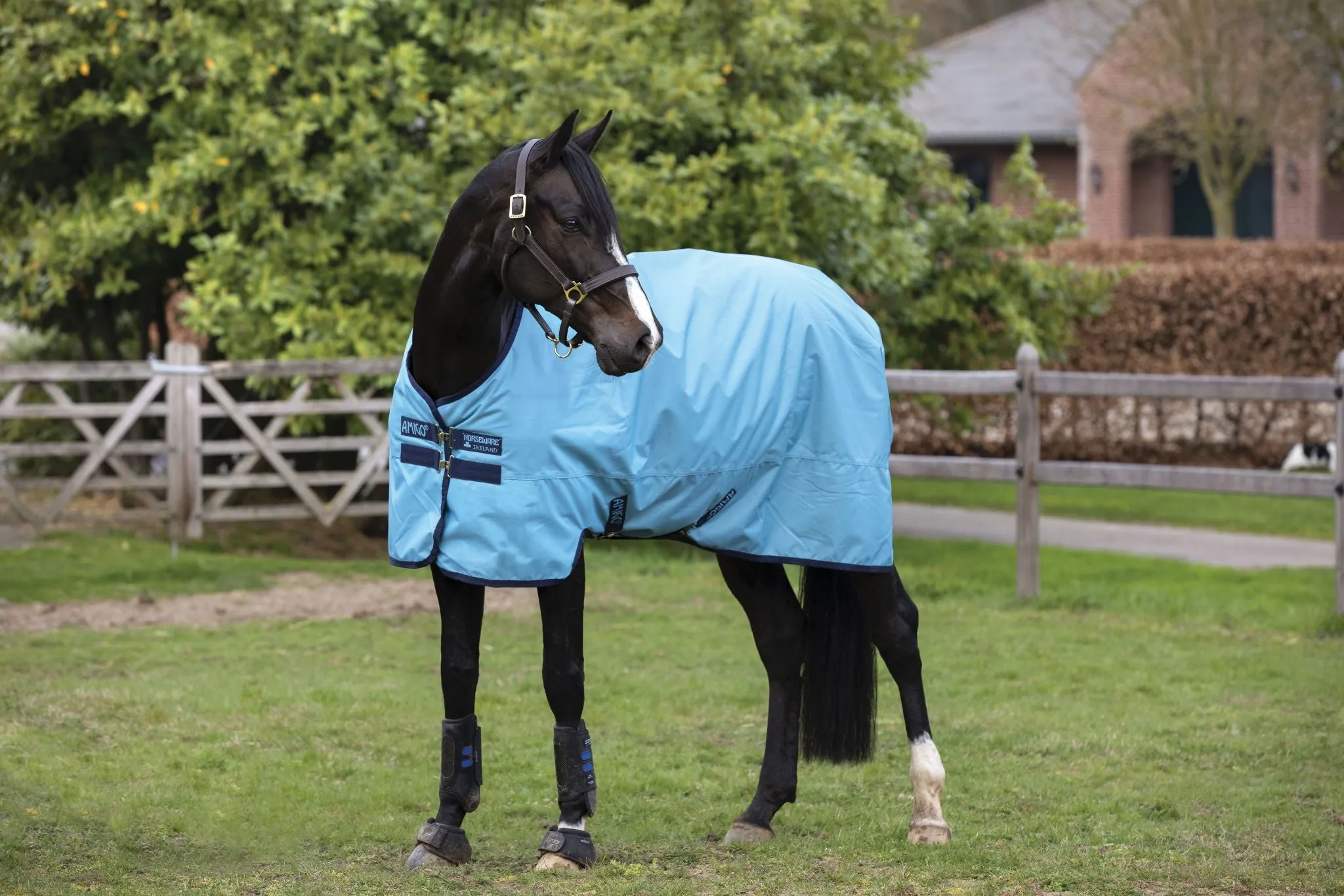 Horseware Ireland Amigo® Hero Ripstop Plus Turnout (0g Lite)