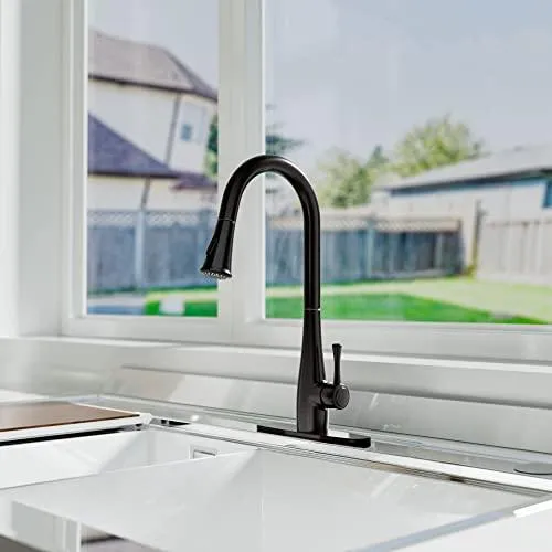 Single Handle Kitchen Faucets with Pull Down Sprayer - Oil Rubbed Bronze